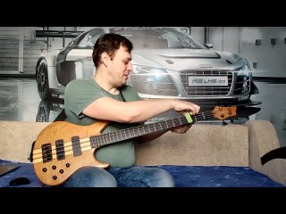 damper for bass guitar and why you need it