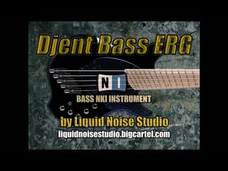 rob scallon - envy 9 string - bass cover djentbass erg